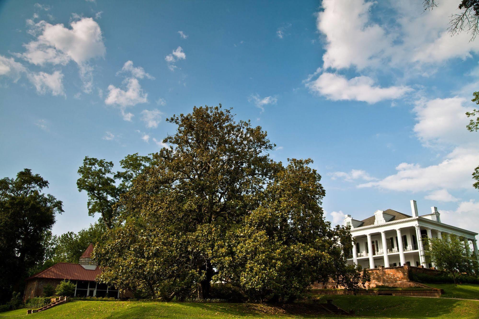 Dunleith Historic Inn Натчес Екстериор снимка